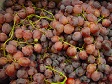 Red Grapes.jpg
